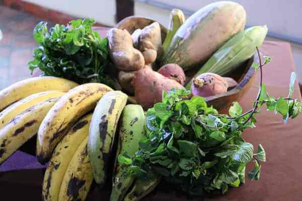 Plataforma Feira Sisa incentiva produtoras a expandirem venda de produtos da sociobiodiversidade