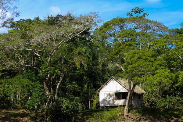 Sisa é modelo de desenvolvimento sustentável e valoração de produtos e da floresta