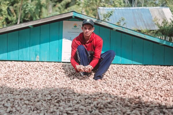 Produtores de borracha e murmuru recebem pagamento por serviços ambientais