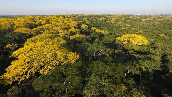 Zoneamento Ecológico Econômico do Acre