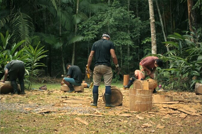 Homens trabalhando com madeira na floresta - CDSA