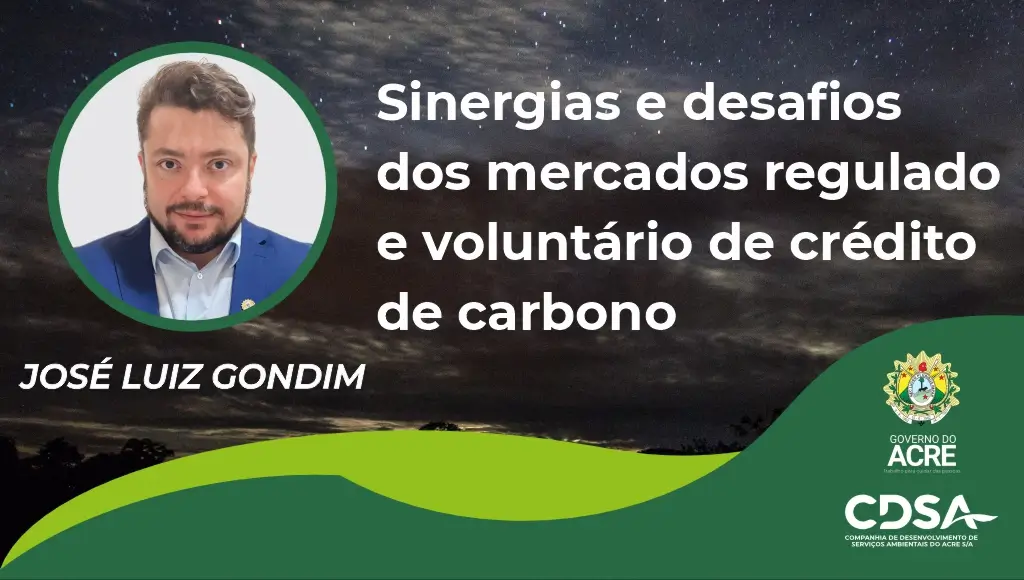 Sinergias e desafios dos mercados regulado e voluntário de crédito de carbono