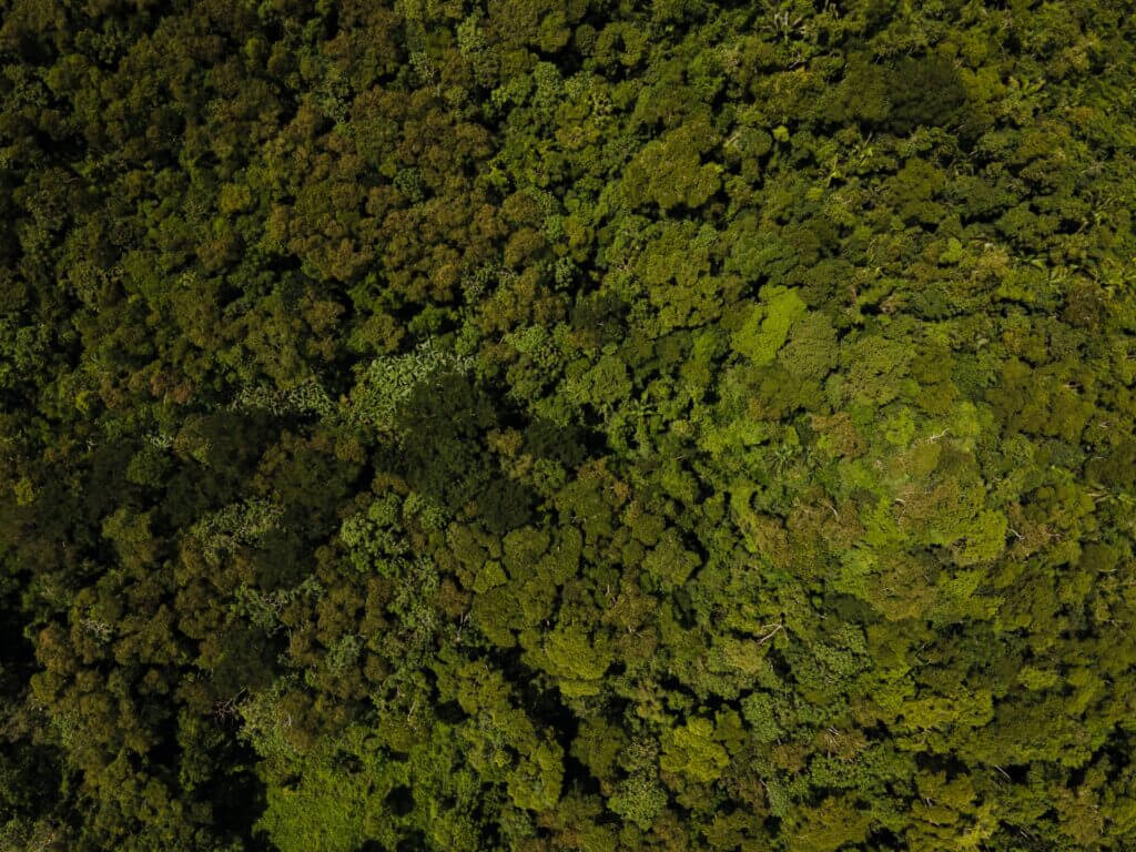 Acre é o primeiro território no planeta a estabelecer um sistema jurisdicional de negociação de crédito de carbono. Foto: arquivo/Secom