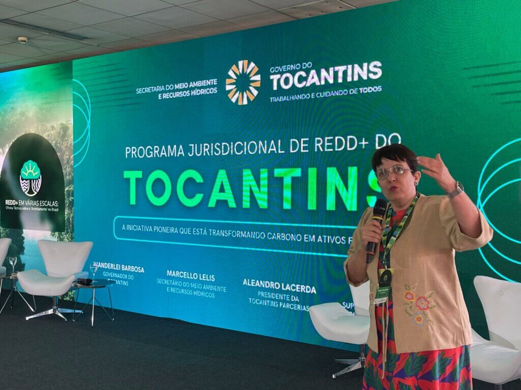 Superintendente de gestão e políticas ambientais do Tocantins, Marli Santos, apresentou os desafios e metas para o aninhamento de projetos de REDD+. Foto: Ângela Rodrigues