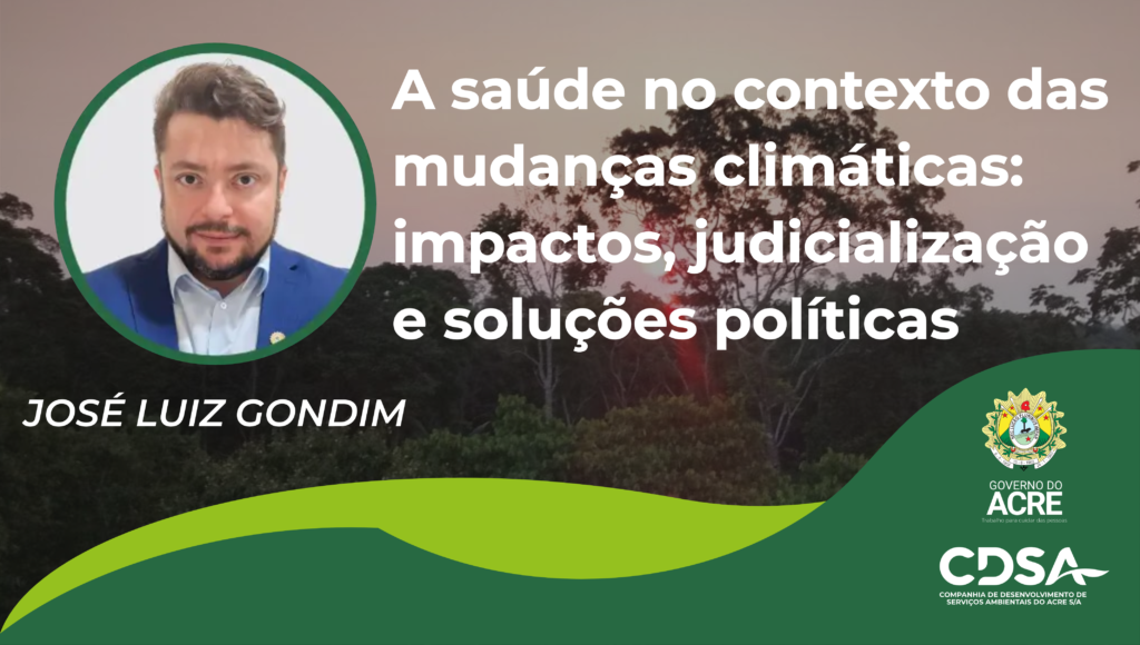 A saúde no contexto das mudanças climáticas: impactos, judicialização e soluções políticas