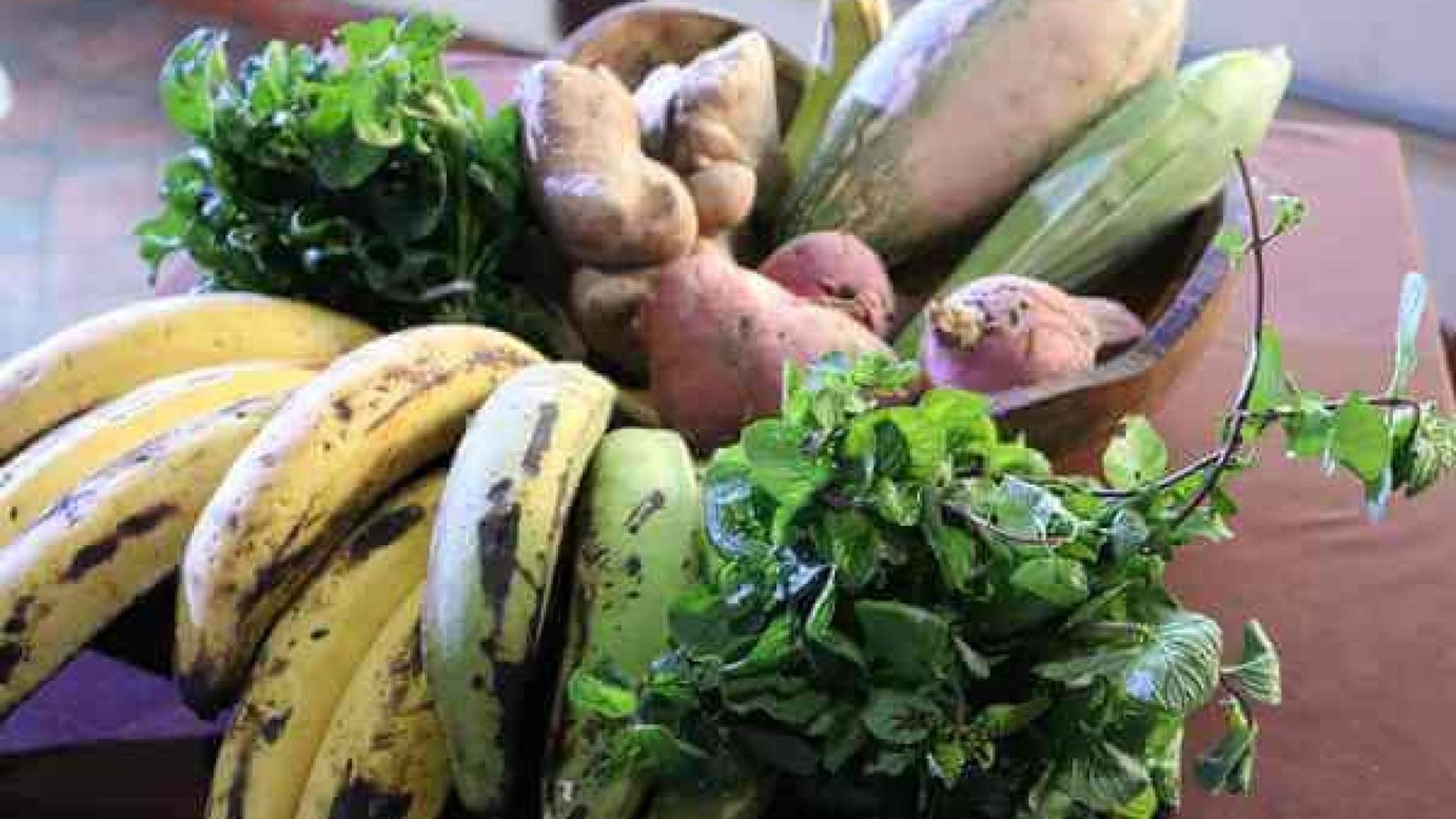 Plataforma Feira Sisa incentiva produtoras a expandirem venda de produtos da sociobiodiversidade
