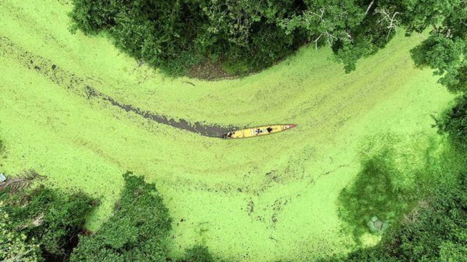 Turismo sustentável gera renda e melhoria de vida nas comunidades