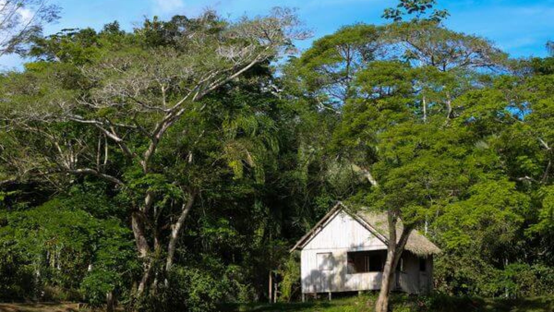 Sisa é modelo de desenvolvimento sustentável e valoração de produtos e da floresta