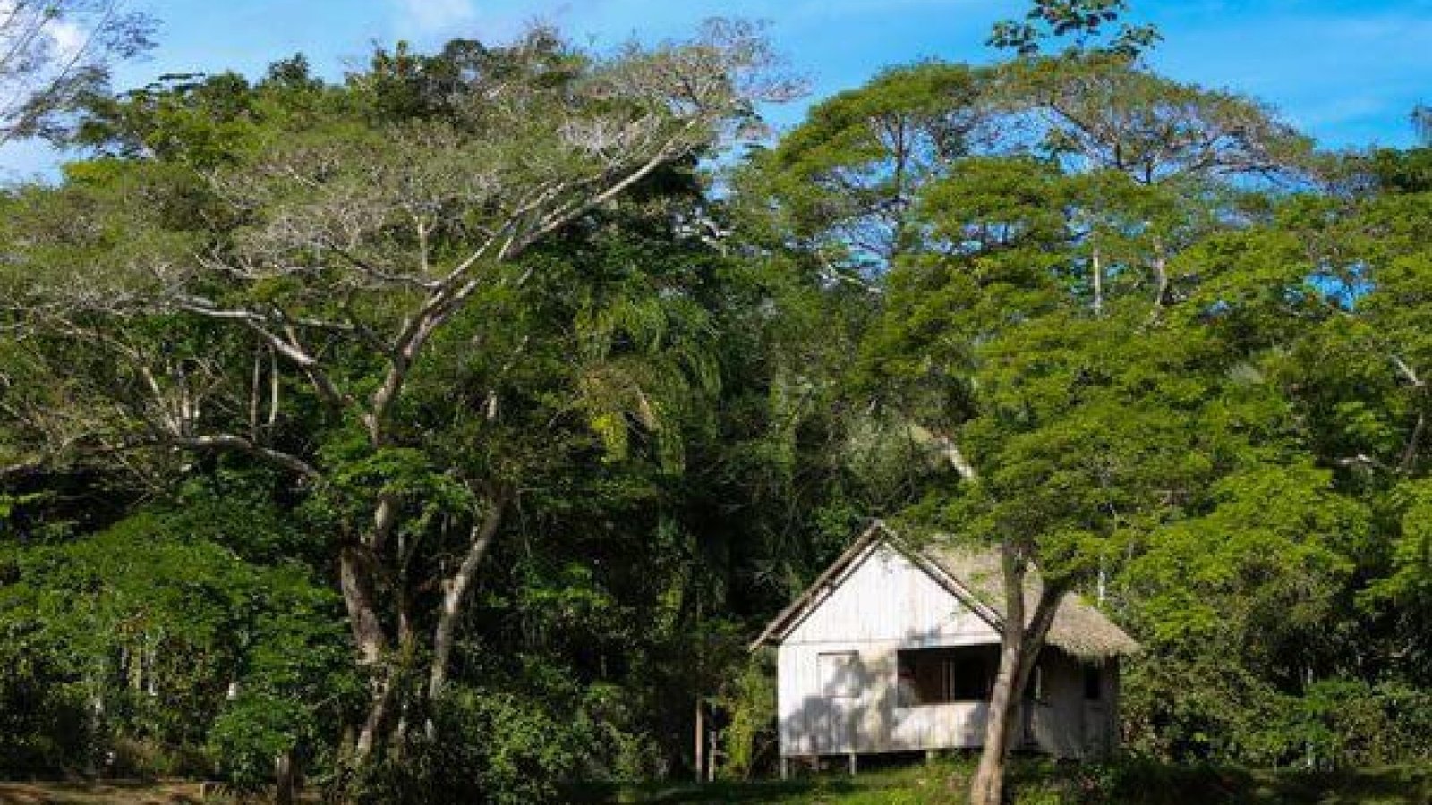 Sisa é modelo de desenvolvimento sustentável e valoração de produtos e da floresta